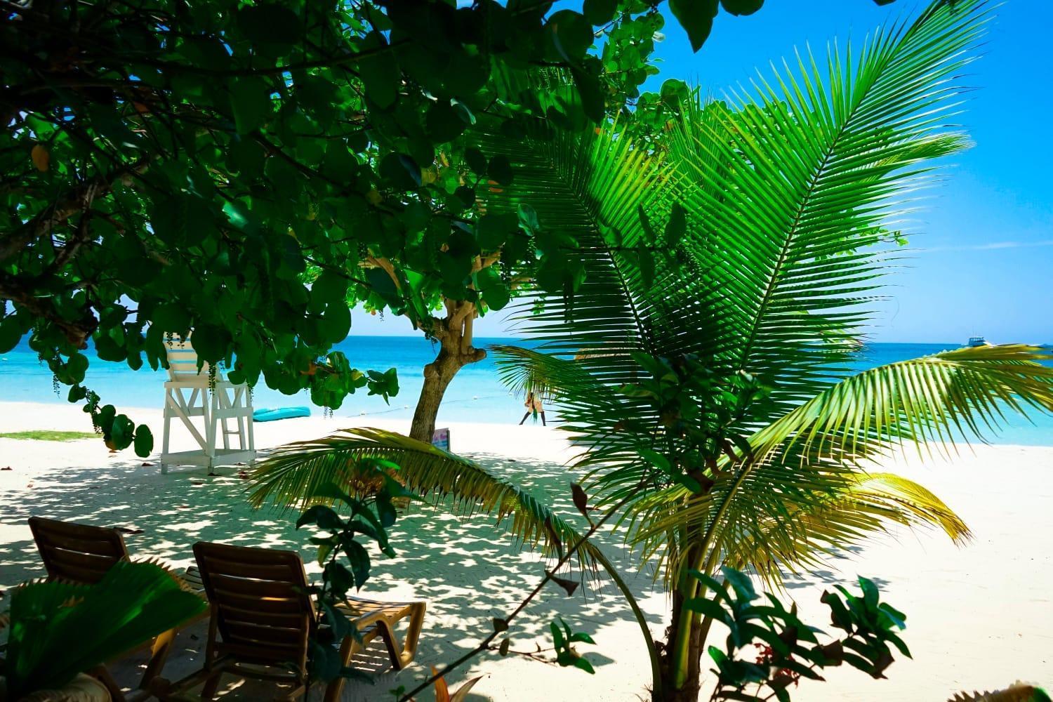 Ayurveda Resort Negril Exteriör bild