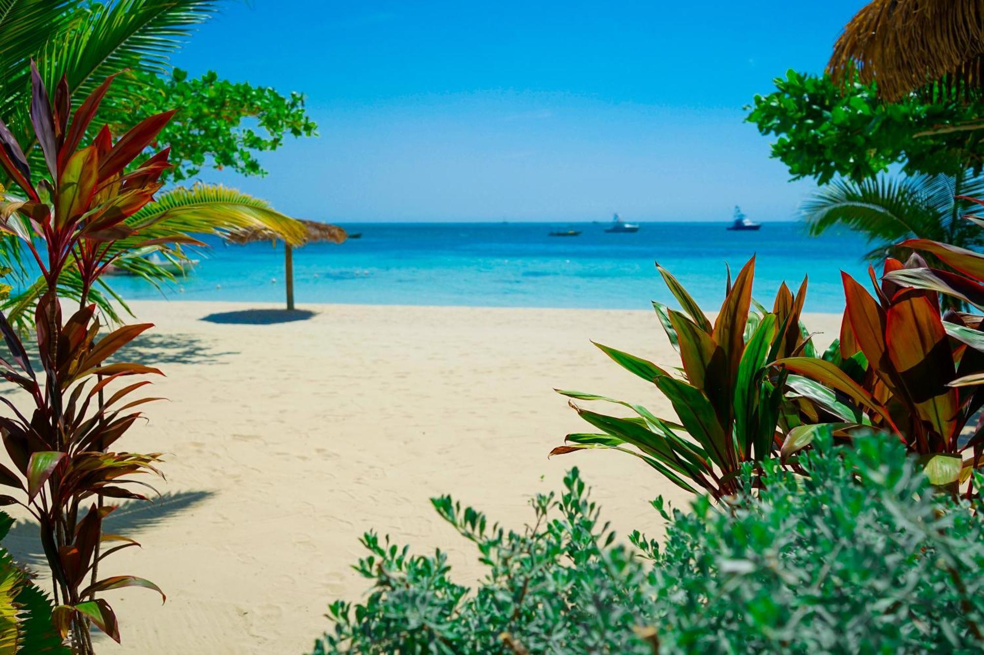 Ayurveda Resort Negril Exteriör bild